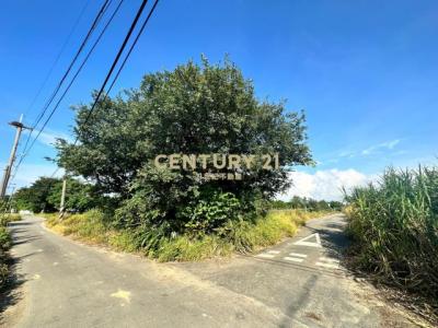 觀音便宜一般農, 觀音區, Đào Viên 328, Đài Loan