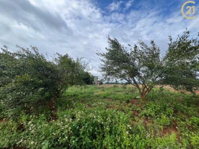 成功段, 龍潭區, تاويوان مدينة 325, تايوان