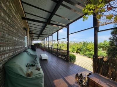 民溪三路, 中壢區, 桃園市 320, 台灣