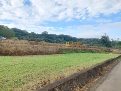 瑞仁路, 大溪區, Таоюань 335, Тайвань