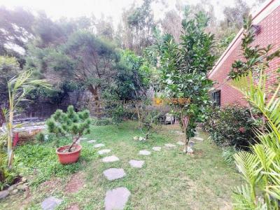 瑞仁路, 大溪區, Taoyuan City 335, Taiwan