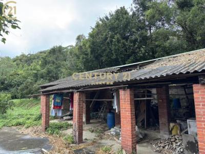 新北里竹71鄉道, Xinpu Township, Hsinchu County 305, Taiwan