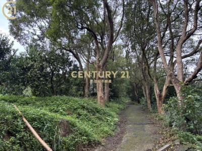 新北里竹71鄉道, 新埔鎮, 新竹縣 305, 台灣