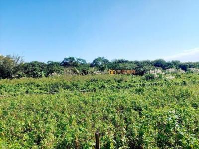 金陵路七段, 平鎮區, 桃园 324, 台湾