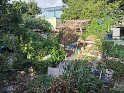 廣豐街, 平鎮區, Taoyuan 324, Taïwan