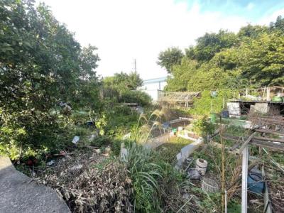 廣豐街, 平鎮區, Taoyuan 324, Taïwan