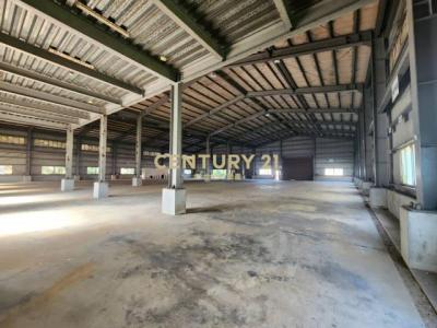 望間里, 新屋區, Taoyuan 327, Tayvan