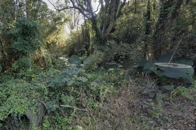 菁埔, Linkou Dist., New Taipei City 244, Taiwan