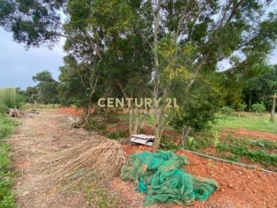 中庸段, 平鎮區, Taoyuan 324, Tajwan