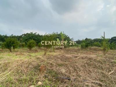 中庸段, 平鎮區, 타오 위엔 324, 대만