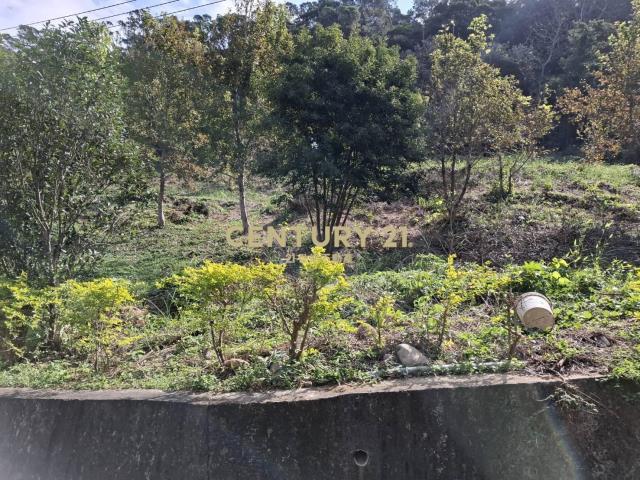 竹森段, Tongluo بلدة, مقاطعة مياولي 366, تايوان