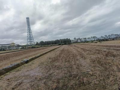 文化路三段, 新屋區, تاويوان مدينة 327, تايوان