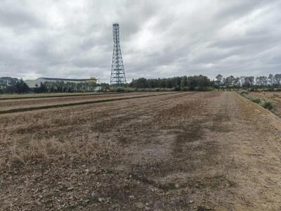 文化路三段, 新屋區, تاويوان مدينة 327, تايوان