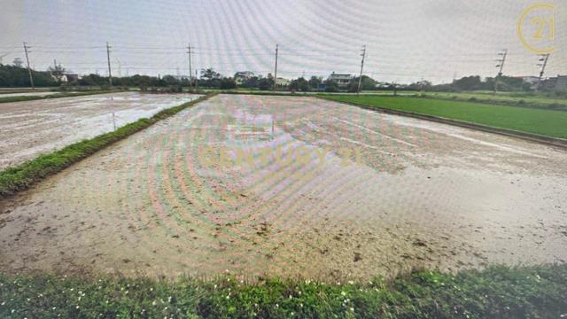 大牛欄段大牛欄小段, 新屋區, تاويوان مدينة 327, تايوان