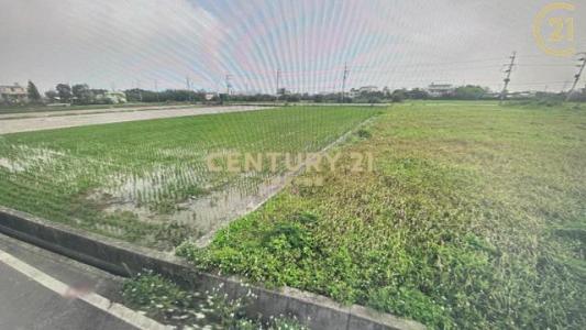 大牛欄段大牛欄小段, 新屋區, تاويوان مدينة 327, تايوان