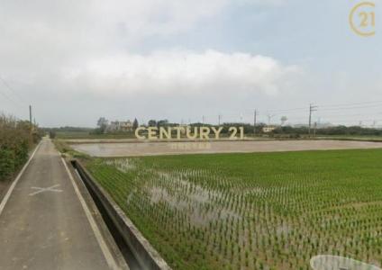 大牛欄段大牛欄小段, 新屋區, تاويوان مدينة 327, تايوان