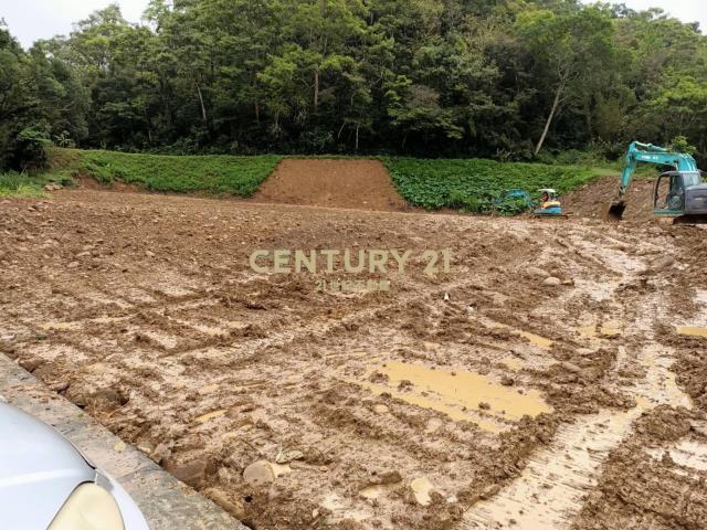 鹿寮坑段, Qionglin Township, Hsinchu County 307, Tajwan