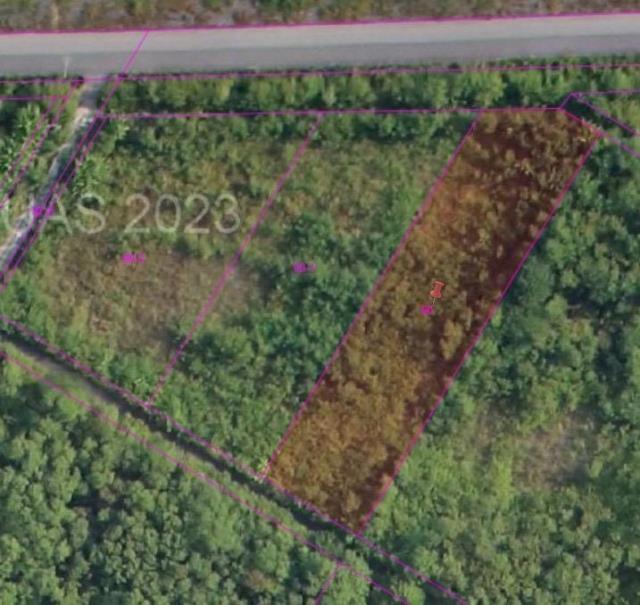 永豐路, Fenglin Township, Hualien County 975, Taiwan