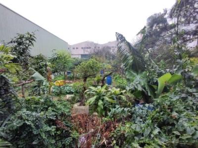 福全路, 中壢區, Taoyuan 320, Tajwan