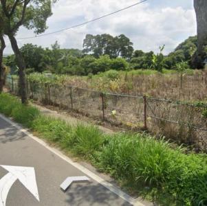 信義路, 大溪區, 桃園市 335, 台灣