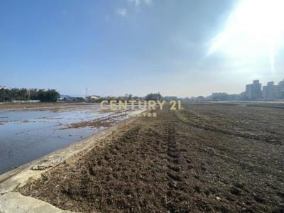 新興段, 八德區, Taoyuan 334, Taiwán