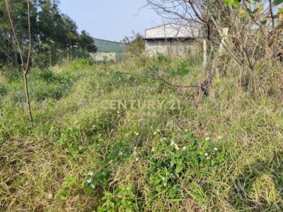 長祥路, 新屋區, Taoyuan 327, Tajwan