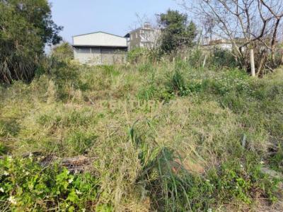 長祥路, 新屋區, Taoyuan 327, Tajwan