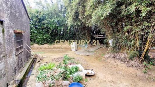 育仁段, 觀音區, تاويوان مدينة 328, تايوان