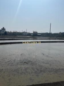 萬能段, 中壢區, 桃園市 320, 台灣