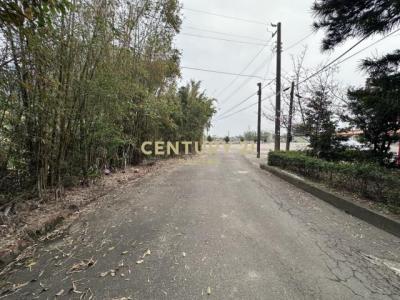 田心段, 楊梅區, Taoyuan City 326, Taiwan