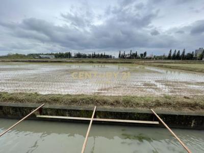 上大段, 觀音區, Taoyuan City 328, Taiwan
