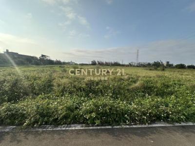 大堀段, 觀音區, تاويوان مدينة 328, تايوان