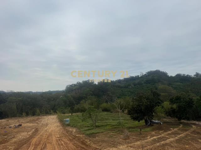 石井段, أومي بلدة, مقاطعة شينتشو 315, تايوان