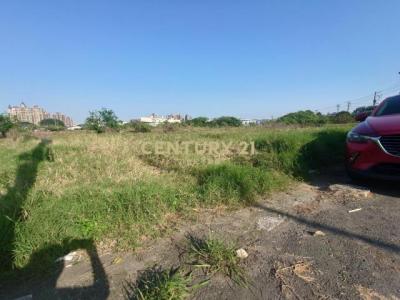 新庄子段, 蘆竹區, Taoyuan 338, Taïwan