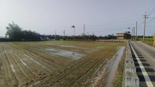 員本路, 楊梅區, Taoyuan City 326, Taiwan