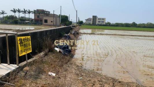 上大段, 觀音區, Taoyuan City 328, Taiwan