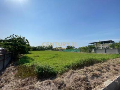 金橋路育仁段, 觀音區, Taoyuan 328, Taiwán