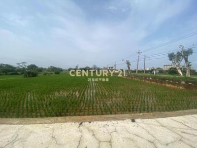 山下段, 中壢區, Taoyuan 320, Taiwán