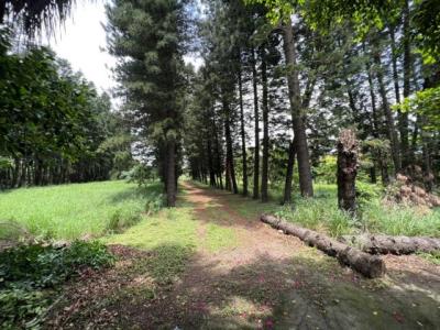 中華路, 大園區, Taoyuan City 337, Taiwan