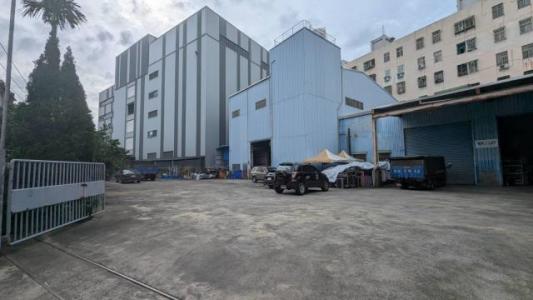 龍壽街一段, 蘆竹區, Taoyuan City 338, Taiwan