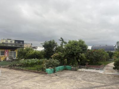 仁和路二段, 大溪區, טאו - יואן העיר 335, טיוואן