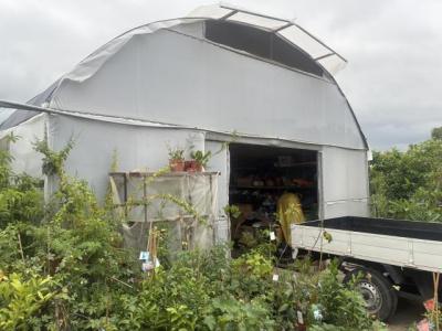 仁和路二段, 大溪區, טאו - יואן העיר 335, טיוואן