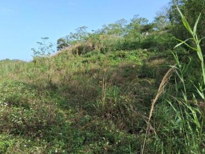 珊湖里, 頭份市, Miaoli County 351, Taiwan