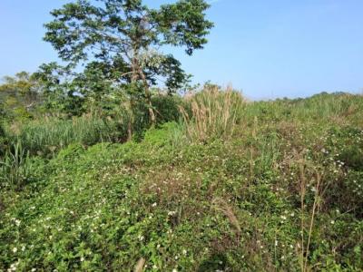 珊湖里, 頭份市, Miaoli County 351, Taiwan