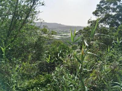 珊湖里, 頭份市, Miaoli County 351, Taiwan