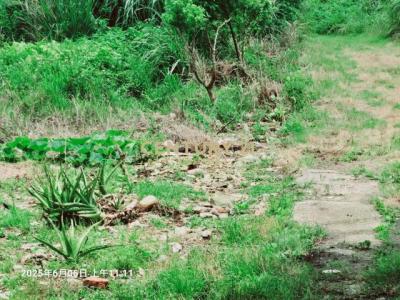 建安段, 平鎮區, Taoyuan City 324, Taiwan