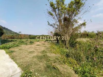 石園路, 大溪區, Taoyuan 335, Taïwan