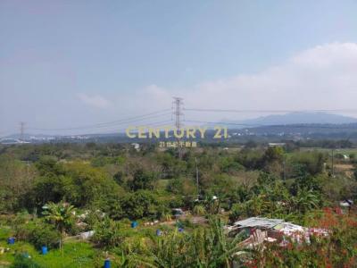 石園路, 大溪區, Taoyuan 335, Taïwan