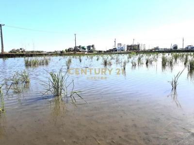 深洲段, Yuanshan Township, Yilan City 264, Taiwan