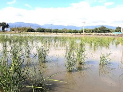 深洲段, Yuanshan Township, Yilan 264, Taiwán